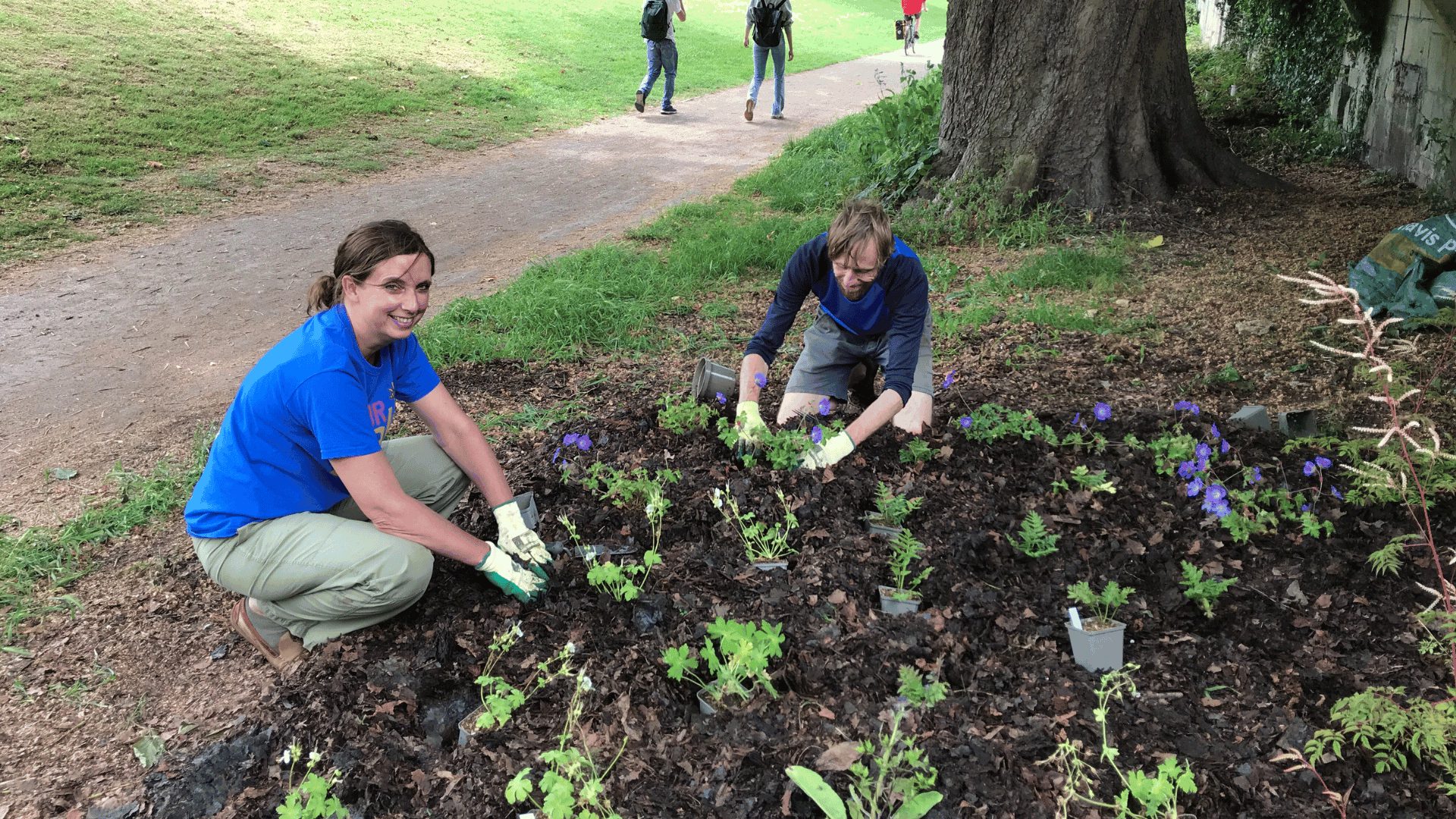 Bath green park planting