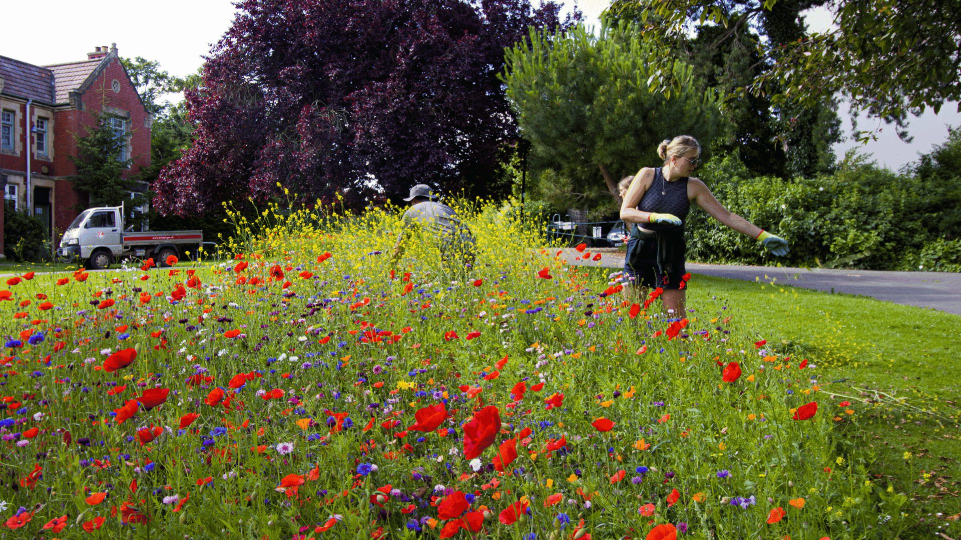 Bristol victoria park meadow