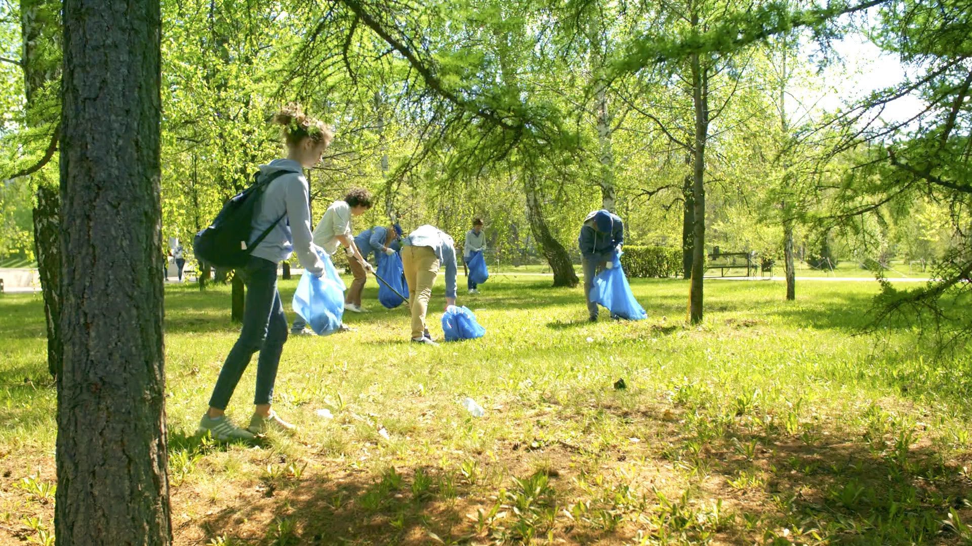 Get Involved Litter Pick2