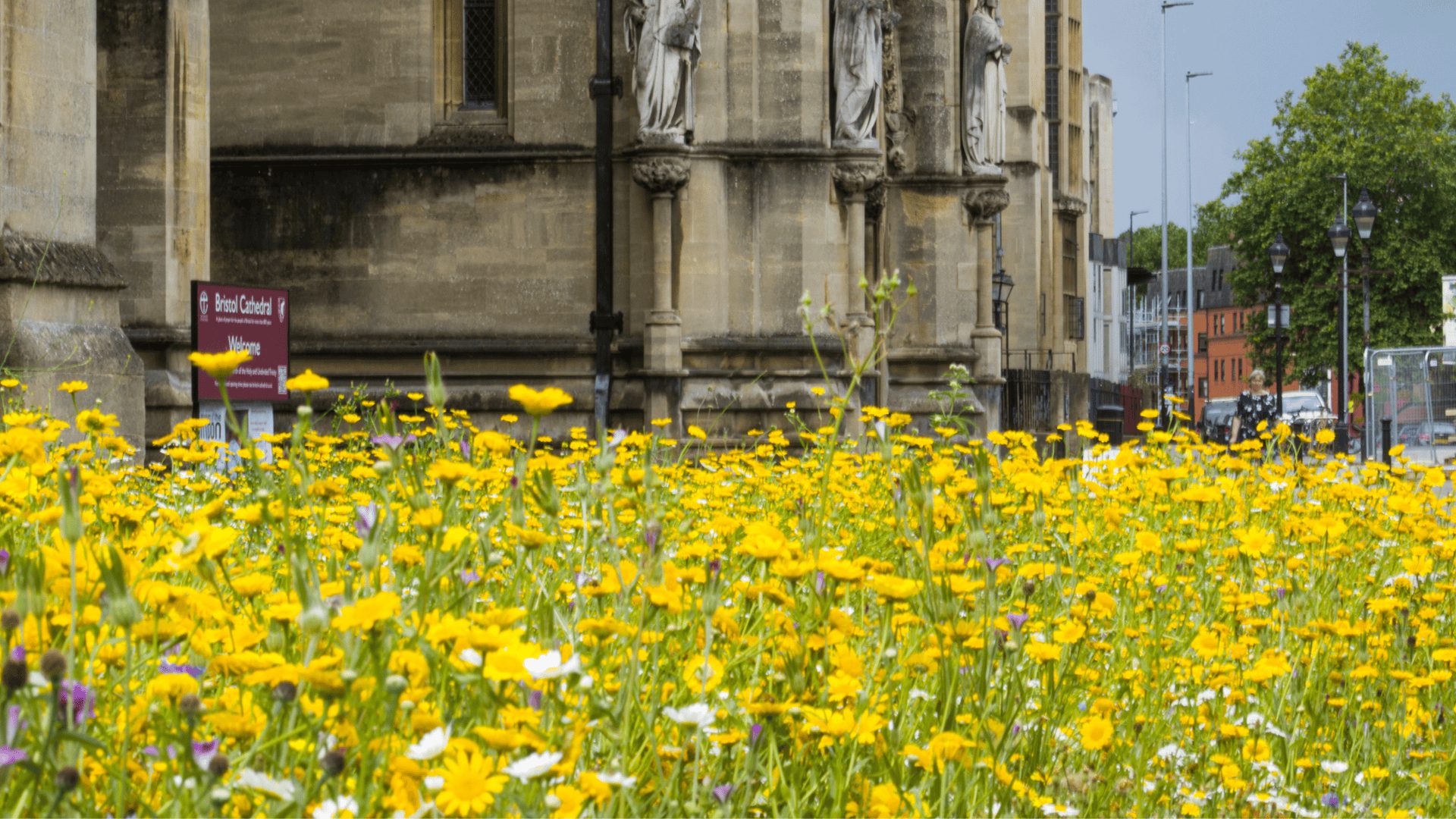 College green 2