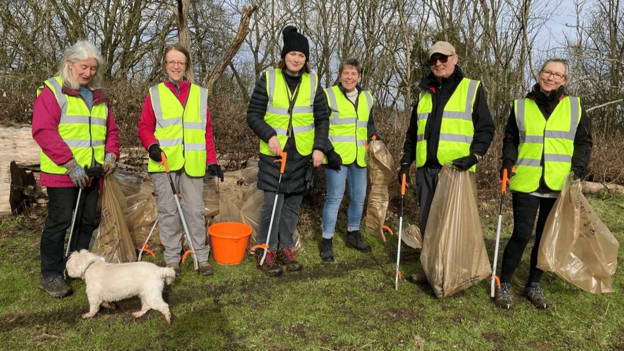 Bath litter pickers