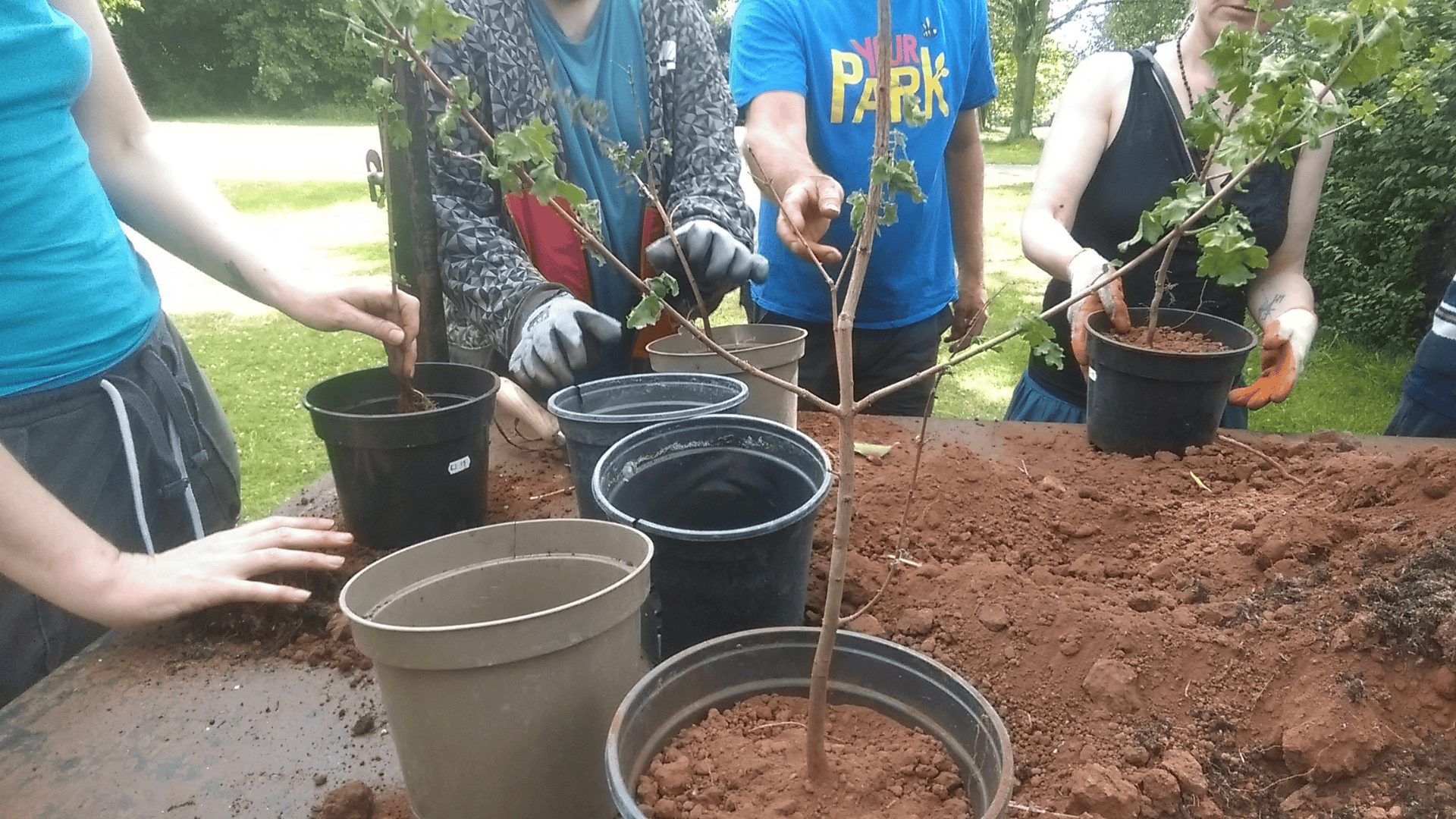 Soil
