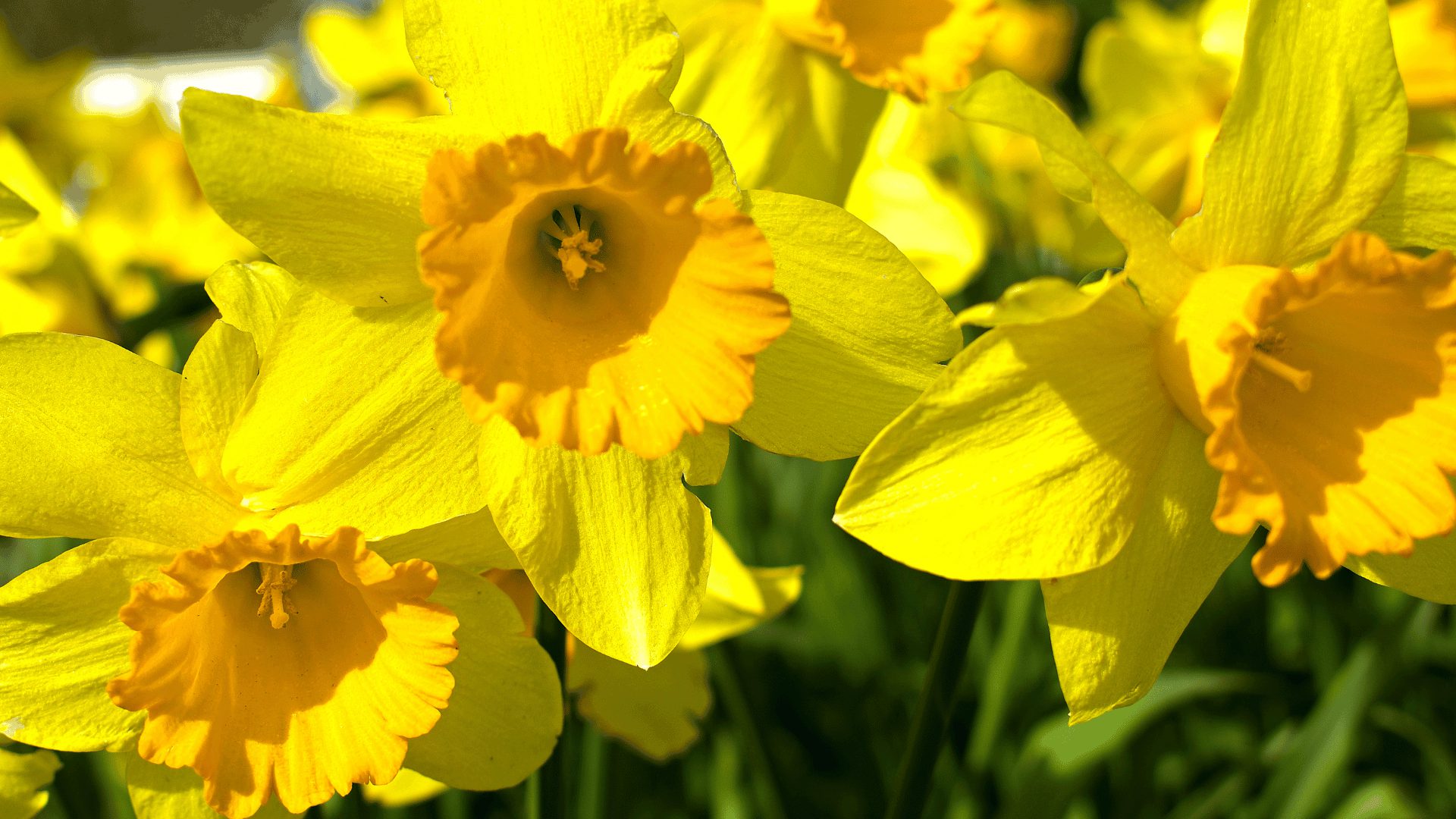 Apr news health 1