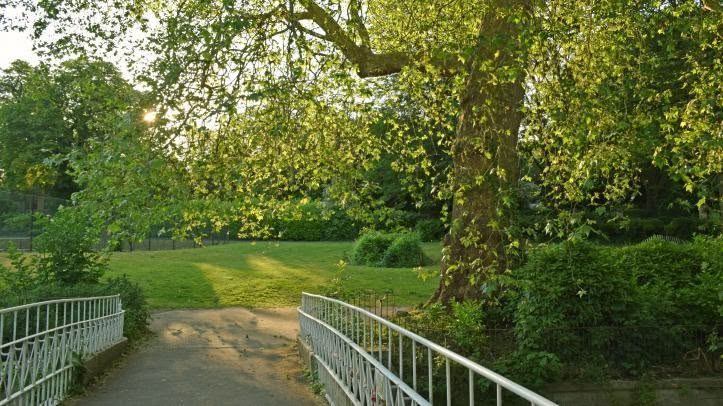 Sydney gardens 3